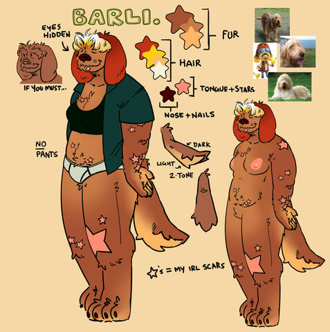 BASIC CHARACTER REF SHEET - $100
